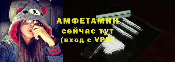 шишки Балахна