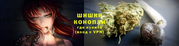 шишки Балахна