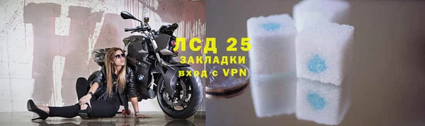 твердый Аркадак