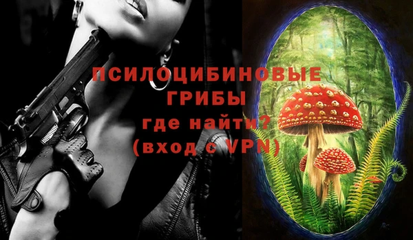 стафф Баксан