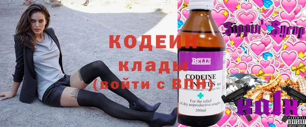 шишки Балахна